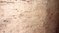 DSC00826
